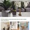 2pcs Model Tree Mini Baobab Tree Train Scenery Architecture Trees Fake Trees Miniature Artificial Tree Fake Plants